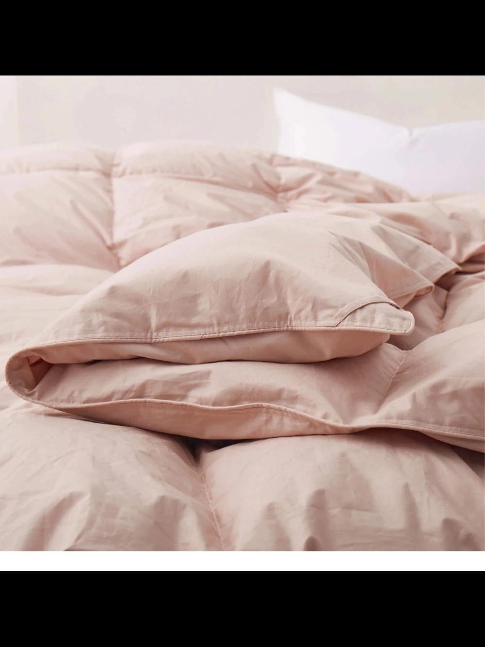 PureDown Organic Cotton Down Feather Fiber All Season Comforter FULL /QUEEN Pink
